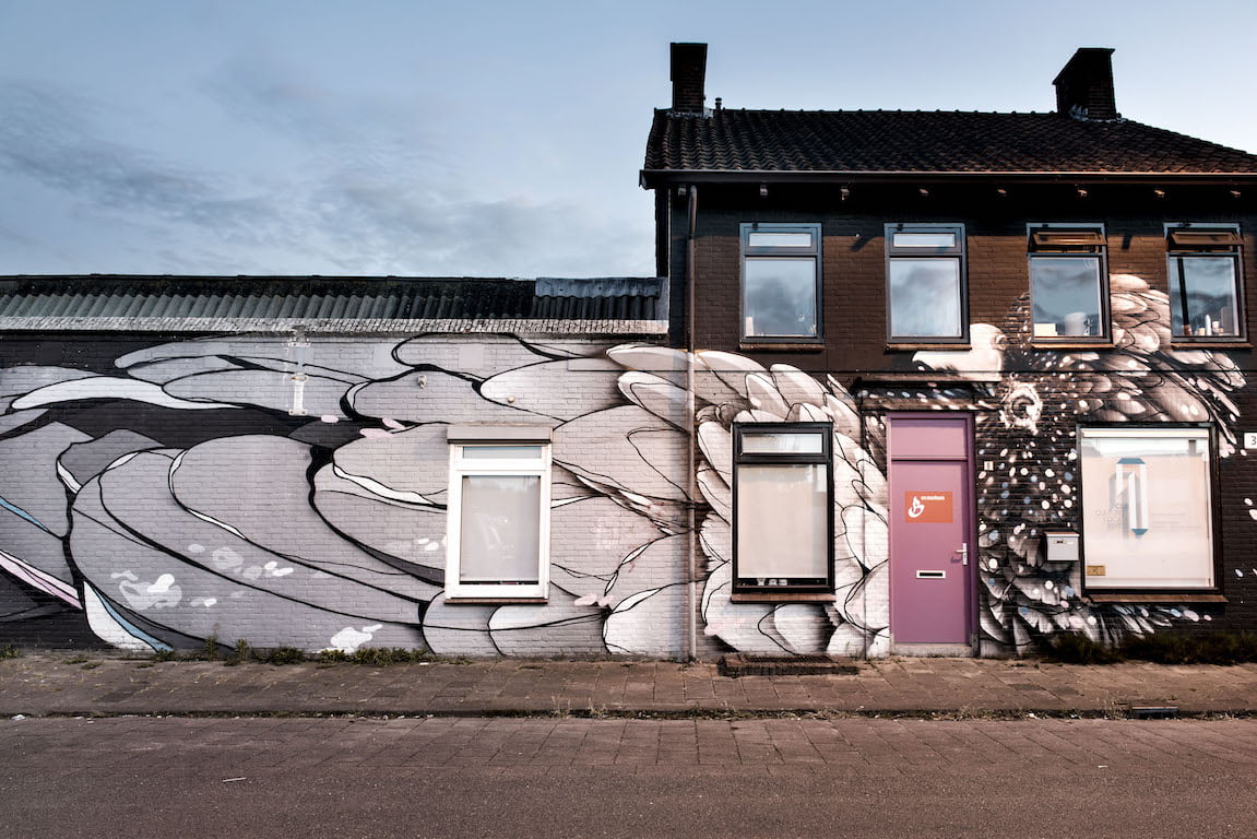 Zenk One