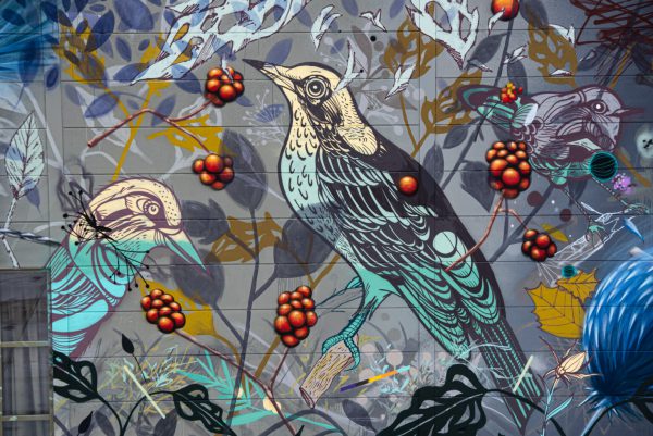 Rutger Termohlen, Super A & Collin van der Sluijs